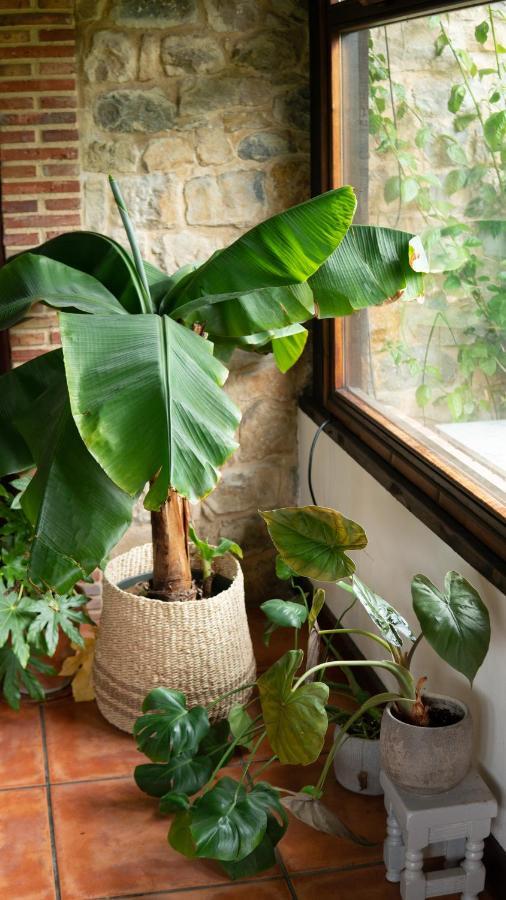 Casa 'Ohana Rioturbio Dış mekan fotoğraf